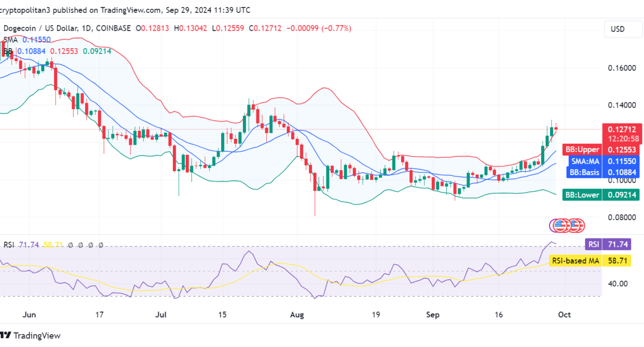 Dogecoin price prediction 2024-2030: DOGE to the moon?