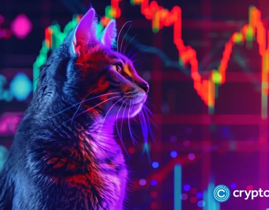 POPCAT, DOGS soar as Bitcoin reclaims $56k