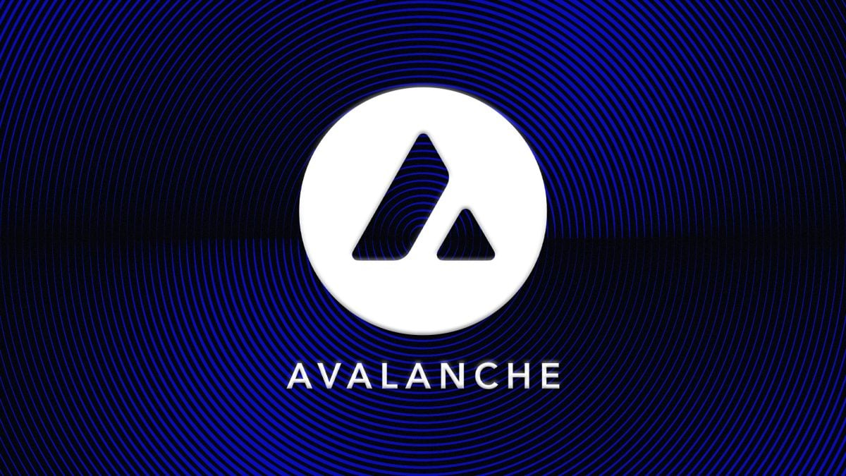 ParaFi Capital tokenizes portion of $1 billion venture funding on Avalanche via Securitize