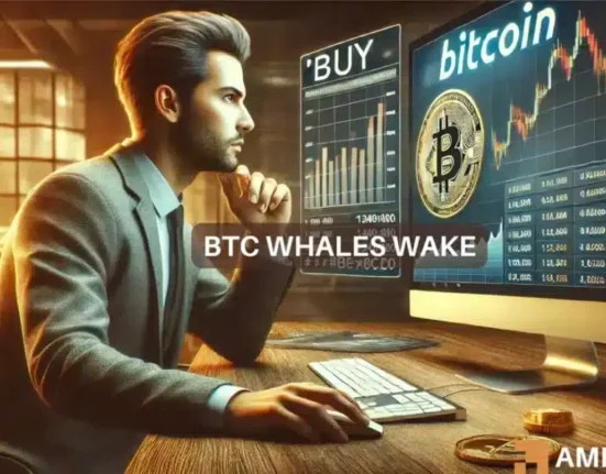 Bitcoin whales have ramped up efforts - THIS is why