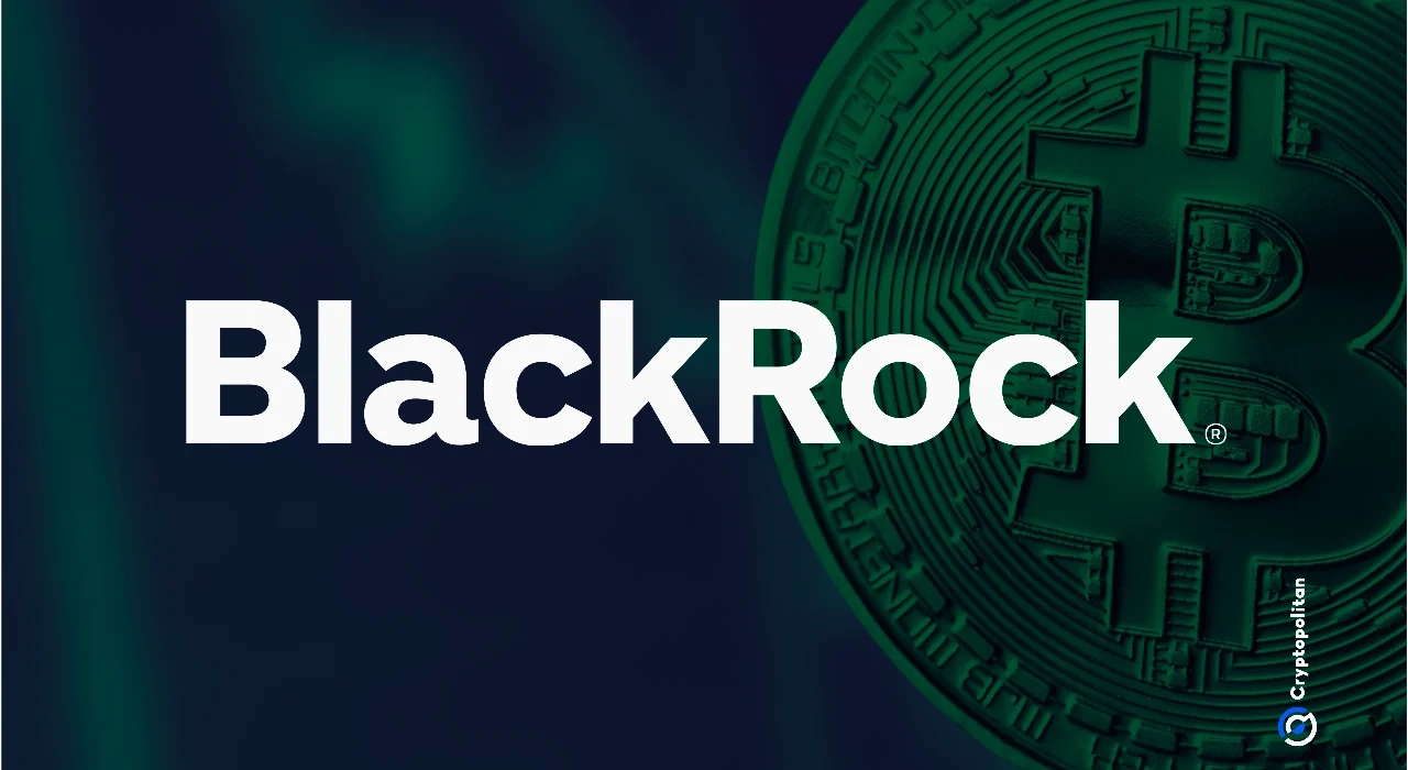 BlackRock expands BUIDL with cross-chain integration to spread investment opportunities