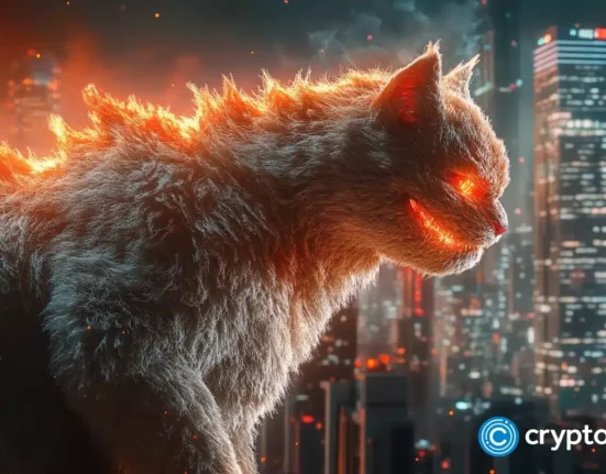 Catzilla poised to 150x by Q1 2025 as analysts spotlight February standouts for these 3 cryptos