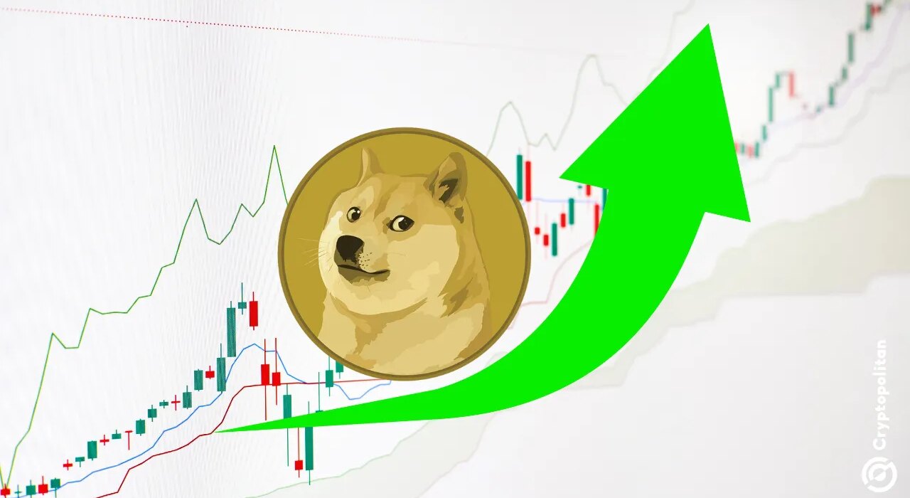 Dogecoin registers massive surge, flips XRP’s market cap