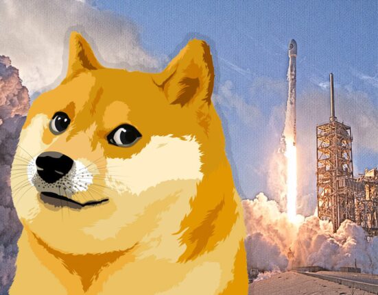 Will Dogecoin Reach $1? | CoinCodex