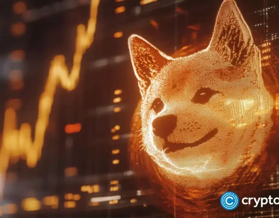 1Fuel new exchange is poised to overtake Shiba Inu in 2025