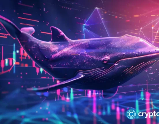 Solana whales rapidly accumulate this viral altcoin dubbed the ‘next XRP’